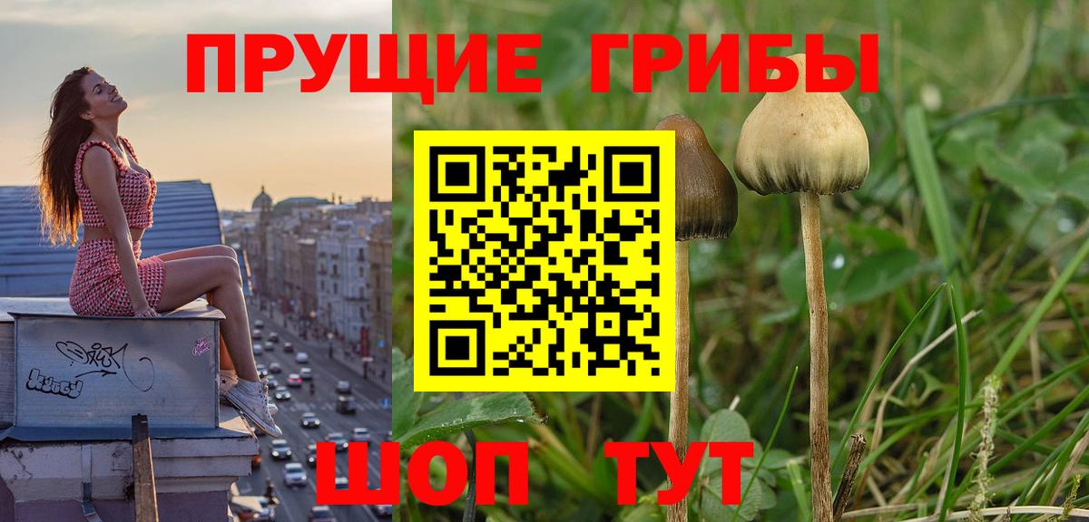 Галлюциногенные грибы мицелий Клин