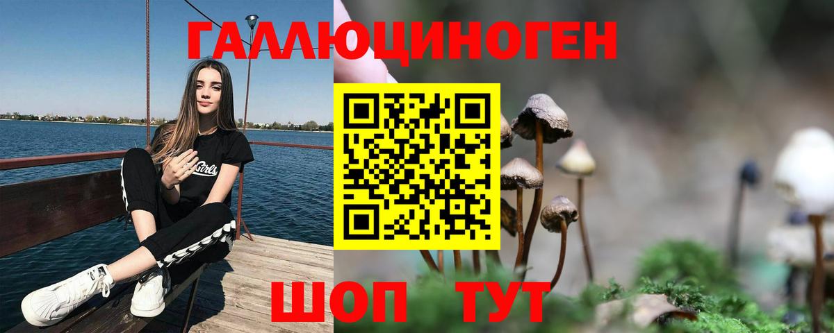 Клин  Галлюциногенные грибы Cubensis  Вход с VPN 